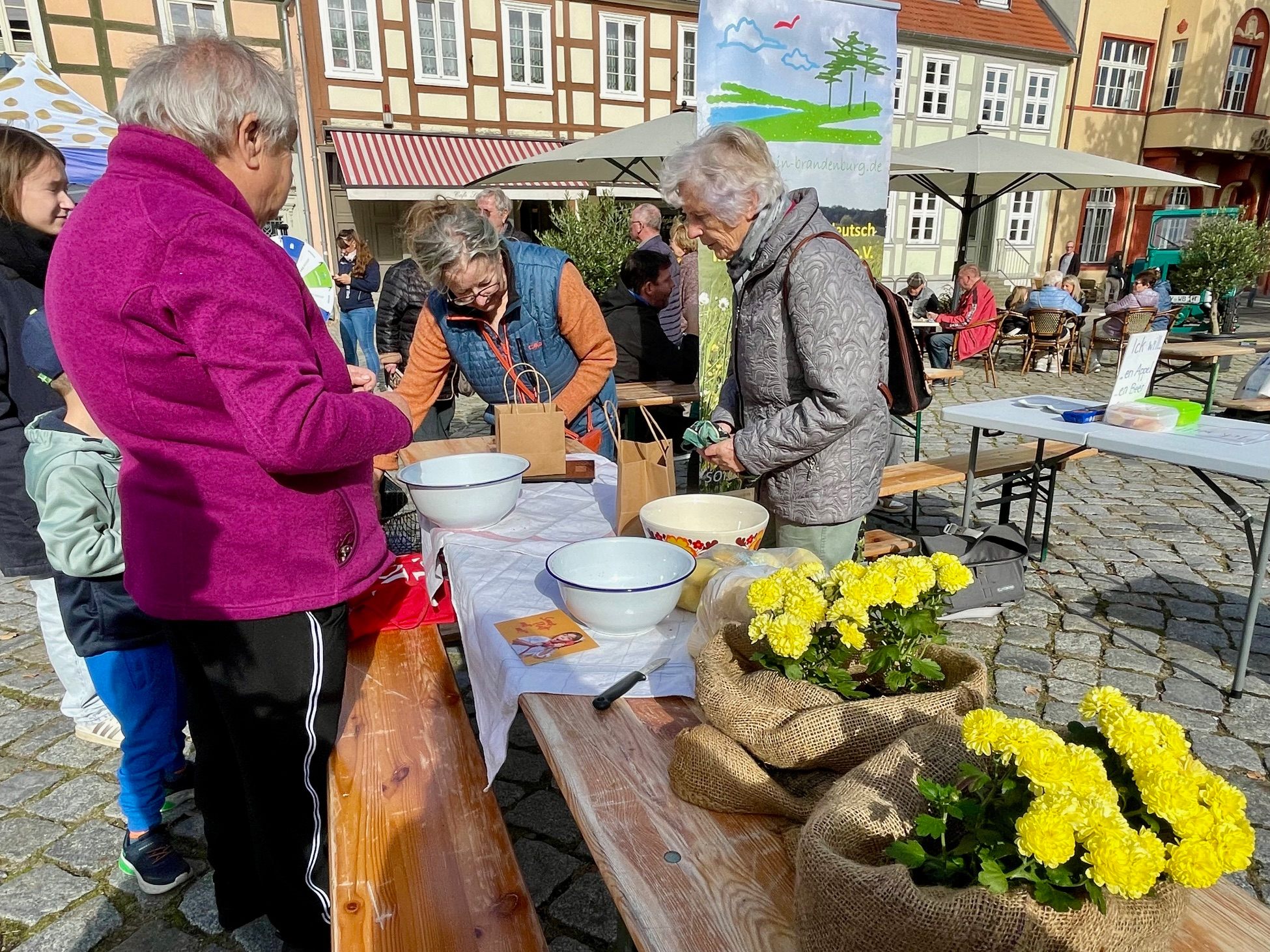 Angret beim Vorbereiten fur Schalwettbewerb